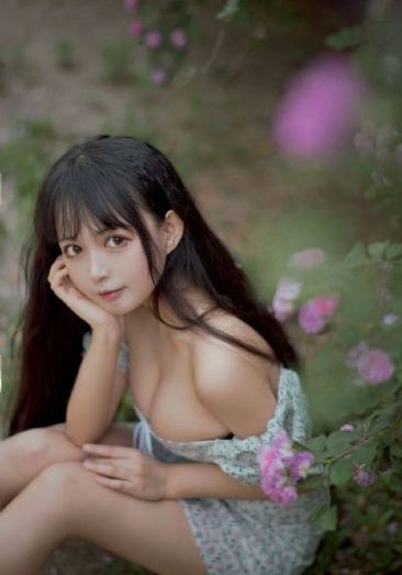 《警花与警犬》电视剧_4K完整视频观看