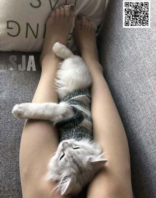 鸡毛蒜皮没小事2_BD免费观看韩国